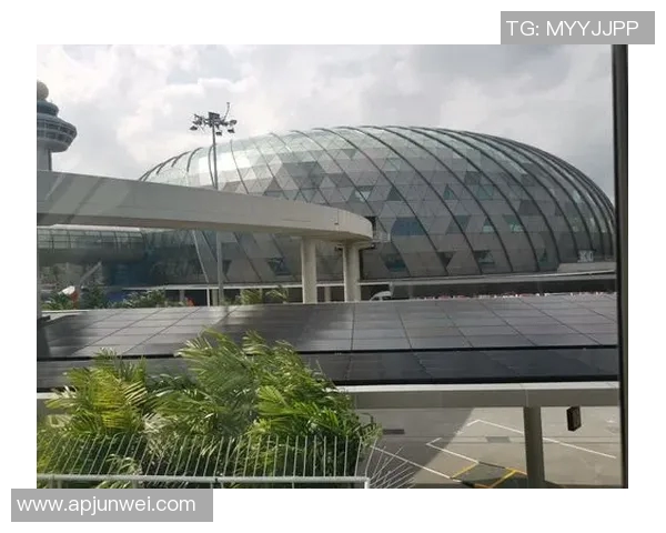 深圳极限运动队的转型之路探索与深度解析